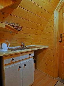 una cucina con lavandino e soffitto in legno di Willa u Kubusia a Zakopane Altre 47 foto