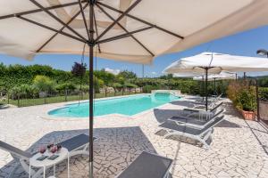 Bazén v ubytovaní Agriturismo Dei Casali alebo v jeho blízkosti