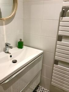 ナントにあるMagnifiques Appartements Hyper Centreのバスルーム(洗面台、鏡付)