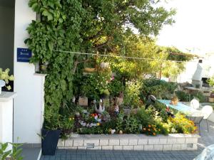 Zahrada ubytování Apartments Centar - Mirjana