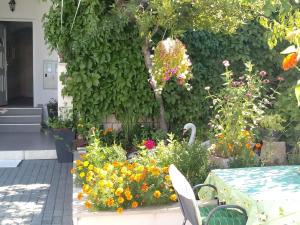 Zahrada ubytování Apartments Centar - Mirjana