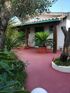 サン・フェリーチェ・チルチェーオにあるLa Locanda di Circeの赤い床と植物のある家