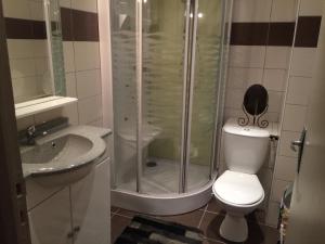 a bathroom with a shower and a toilet and a sink at T2 gîte de Laurette avec garage et parking privés in Rodez