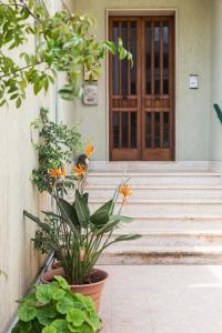 a front door of a house with a bunch of flowers at Aurora Sul Mare in Otranto