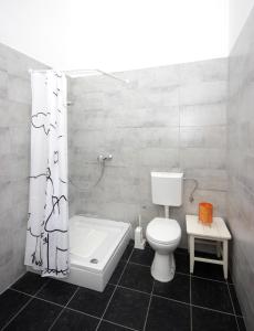 een badkamer met een toilet en een douchegordijn bij Apartment in the top center of old town in Pula
