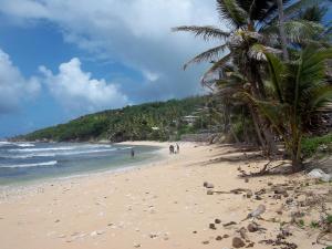 a beach with a palm tree and the ocean at Ocean Ridge at Long Beach in Christ Church