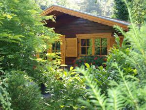 a small wooden cabin in the middle of trees at Bed En - of zonder - Breakfast Putten in Putten