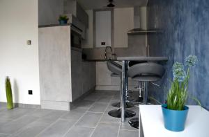 Kuchyň nebo kuchyňský kout v ubytování Le cyclade, appartement de standing en hyper-centre.