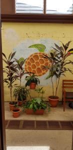 Foto sihtkohas Libeeria asuva majutusasutuse Hostel Dodero galeriist