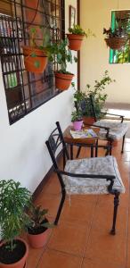 Istumisnurk majutusasutuses Hostel Dodero