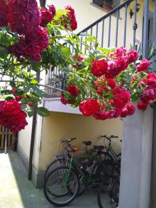 dos bicicletas estacionadas al lado de un edificio con flores en B&B NONO TILIO, en Talmassons