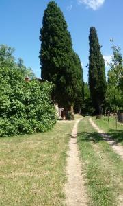 un chemin de terre dans un champ arboré dans l'établissement Agriturismo Bosco Fiorito, à Muggia