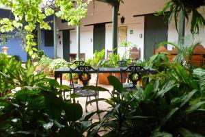 un patio avec des chaises, des tables et des plantes dans l'établissement Hotel Mision Santa Barbara RNT 4799, à Barichara