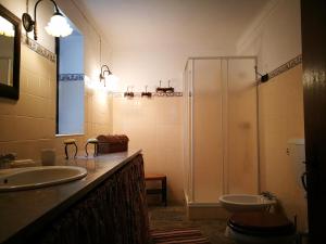 a bathroom with a shower and a sink and a toilet at Monte dos Velhos in Reguengos de Monsaraz +17 photos