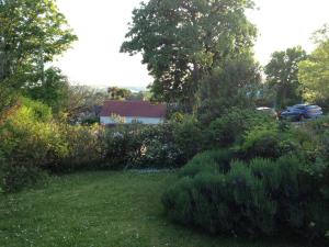 The building where the guesthouse is located 