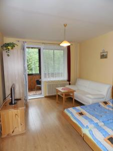 A television and/or entertainment centre at Apartmán Zdravie Horný Smokovec