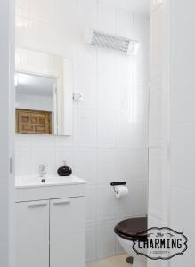 マドリードにあるCharming Argensola Centerの白いバスルーム(トイレ、シンク付)