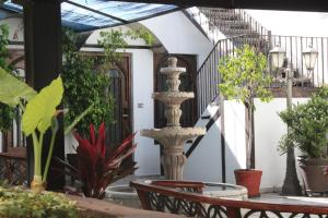 una fuente en medio de un patio con plantas en Casa de la Luna, en Ciudad de México
