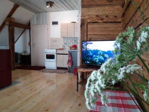 a living room with a flat screen tv and a kitchen at Mulgi Apartment in Viljandi