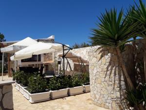 a patio with a palm tree and an umbrella at Villa Lucia in Lampedusa