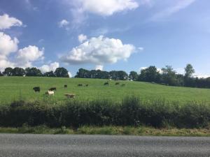 Gallery image of Hillview House in Cootehill +1 photo