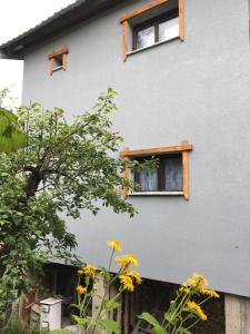 Zgradba, v kateri se nahaja apartma