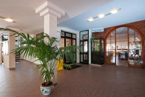 Vstupní hala nebo recepce v ubytování Hotel Casa Rosa + 37 fotografií