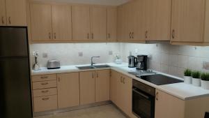 Kuchyňa alebo kuchynka v ubytovaní Keratea Apartment Athens Airport