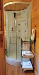 y baño con ducha acristalada. en English Brook Cottages en Lake George