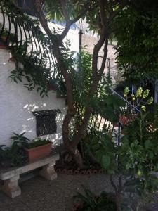 タオルミーナにあるHoliday Home Gionny & Maryの庭の木とベンチ