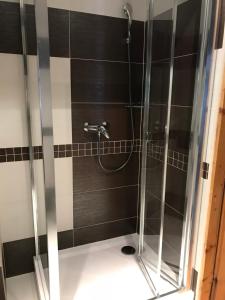 een badkamer met een douche en een glazen deur bij Penzion Alenka in Špindlerův Mlýn