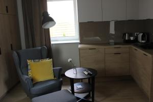 Kuchnia lub aneks kuchenny w obiekcie Apartamenty Centrum Park Sowińskiego 19