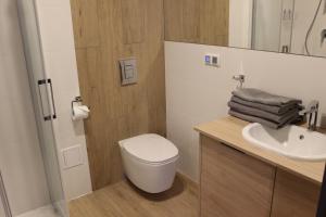 Łazienka w obiekcie Apartamenty Centrum Park Sowińskiego 19