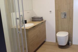 Łazienka w obiekcie Apartamenty Centrum Park Sowińskiego 19