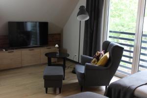 Telewizja i/lub zestaw kina domowego w obiekcie Apartamenty Centrum Park Sowińskiego 19