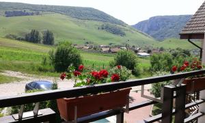 Petreştii de JosにあるPension Laura Cheile Turziiのギャラリーの写真