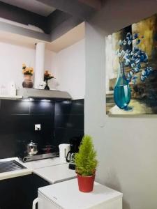 Kuchyň nebo kuchyňský kout v ubytování Boho City Hostel