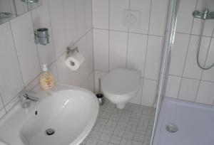 a bathroom with a toilet and a sink and a shower at Ferienwohnung Windten in Braunlage +10 photos