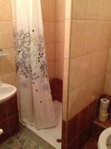 a bathroom with a shower with a shower curtain at Zátonyi Csárda Panzió in Dunasziget +17 photos