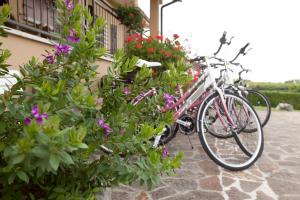 a bike parked next to a bunch of flowers at Bed & Breakfast Conca Verde in Cavriana
