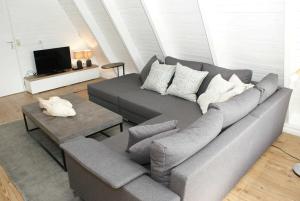 ダンプにあるZeltdachhaus mit WLAN in Strandnaeheのリビングルーム(灰色のソファ、テレビ付)