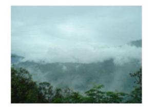 a view of a foggy valley with trees and clouds at Mountain Facing Rooms in Shimla in Shimla