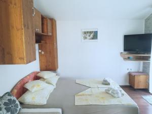 TV a/nebo společenská místnost v ubytování Apartmani Babić Vir