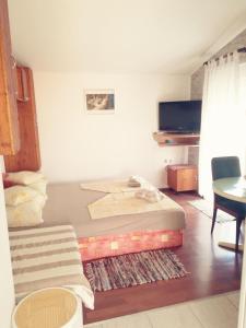 TV a/nebo společenská místnost v ubytování Apartmani Babić Vir