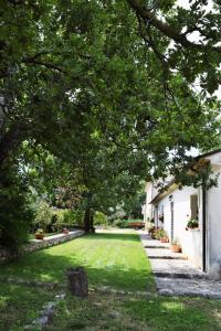 a yard with green grass and trees and a house at Antica Tenuta in Balsorano Nuovo