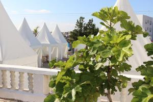 Tanger Med Hotel, Conference & Catering في Ghdar Defla: شجرة أمام صف من القباب البيضاء