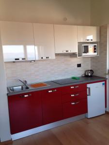 Kuchyň nebo kuchyňský kout v ubytování Residence4a-Appartamento Rosso