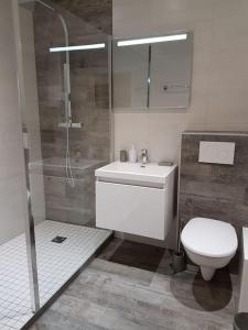 a bathroom with a shower and a toilet and a sink at Executive Studios near Basel in Saint-Louis