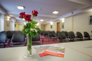 منطقة الأعمال و/أو غرفة المؤتمرات في Hotel Tabor Maribor