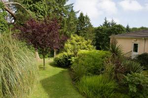 un jardín con césped y arbustos y una casa en Cwmwennol Country House, en Saundersfoot